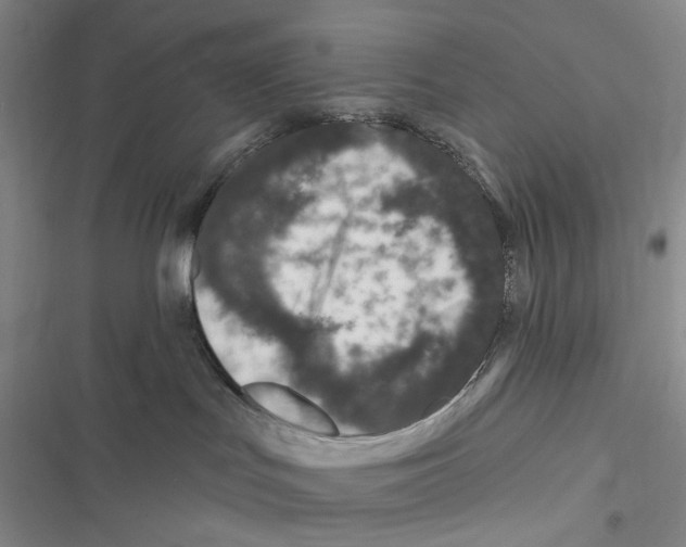 X0000116890047201001191814