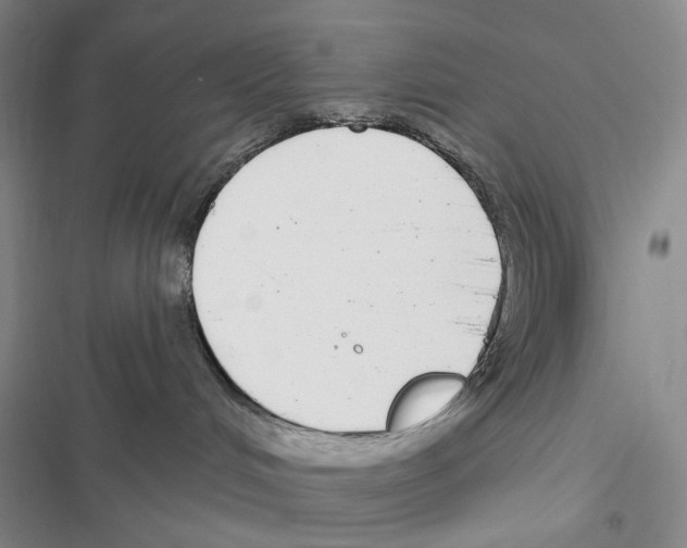 X0000116890048201001191814