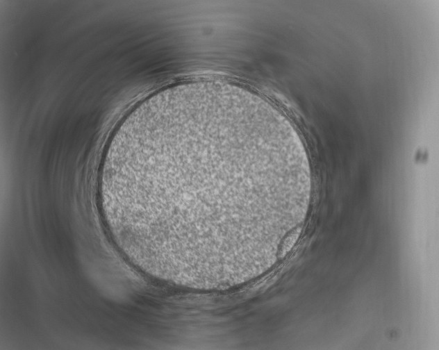 X0000116890049201001191814