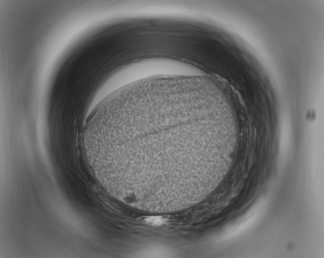 X0000116890050201001191814