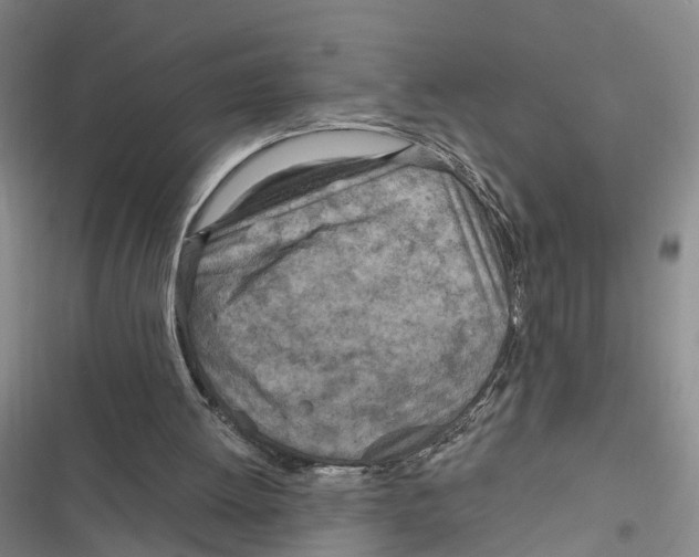 X0000116890052201001191814