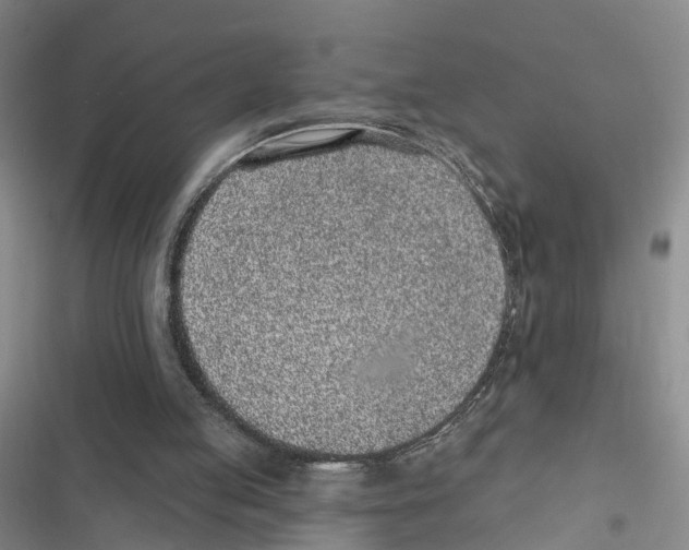 X0000116890053201001191814