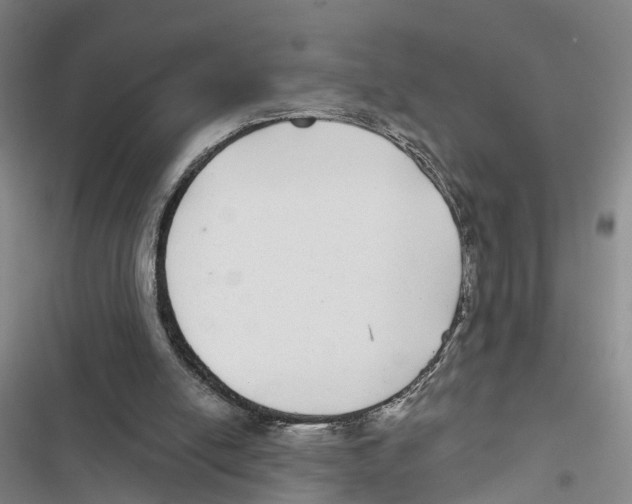 X0000116890054201001191814