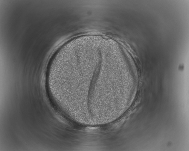 X0000116890055201001191814