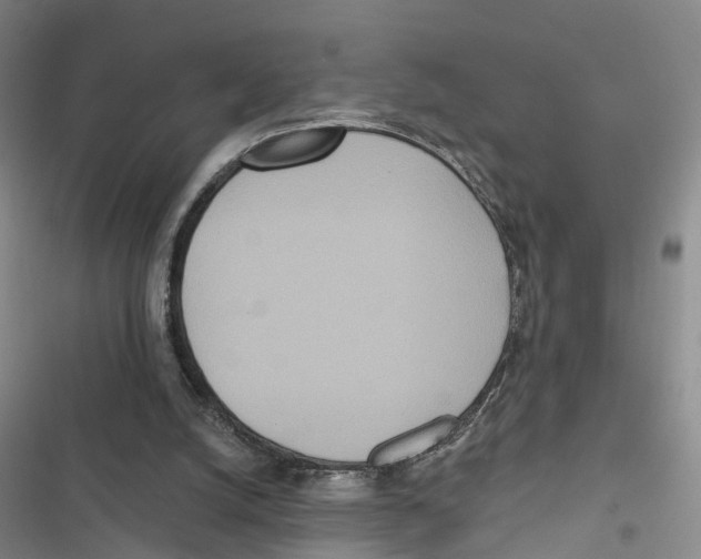 X0000116890056201001191814