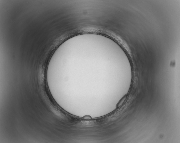 X0000116890057201001191814