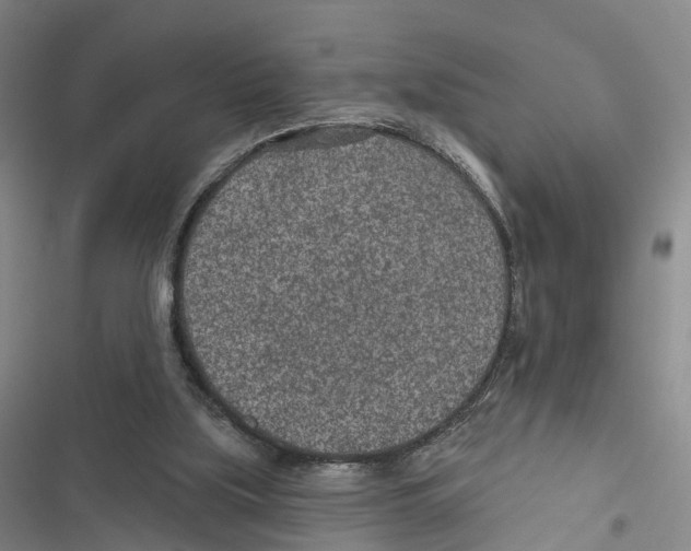 X0000116890059201001191814