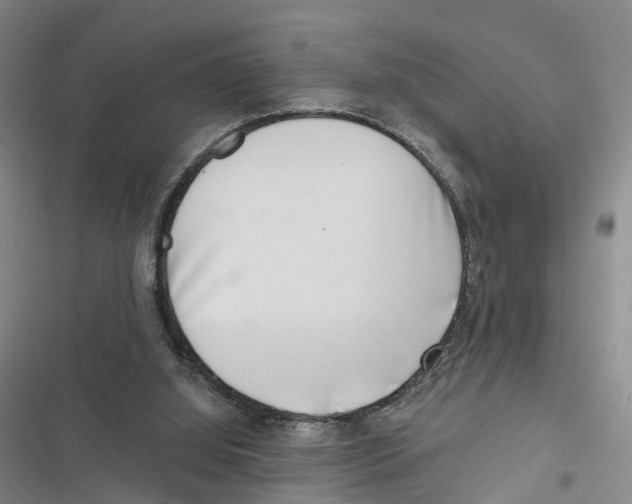 X0000116890060201001191814