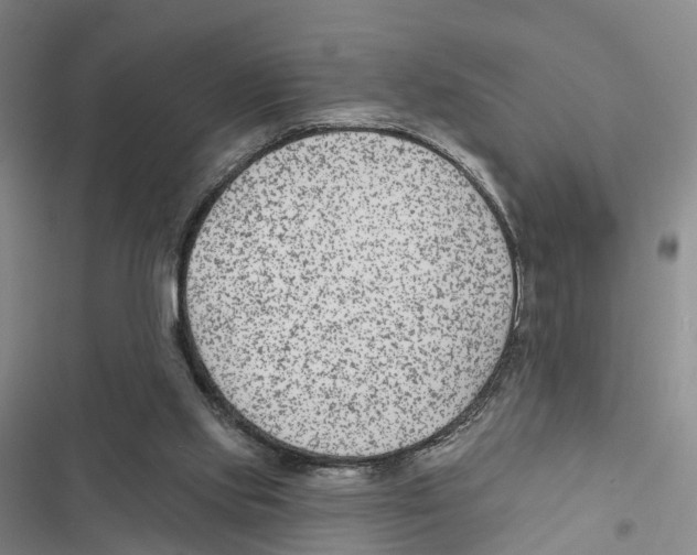 X0000116890061201001191814