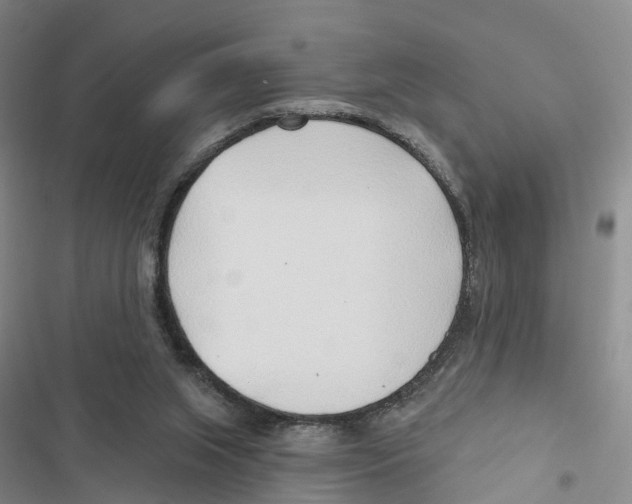 X0000116890063201001191814