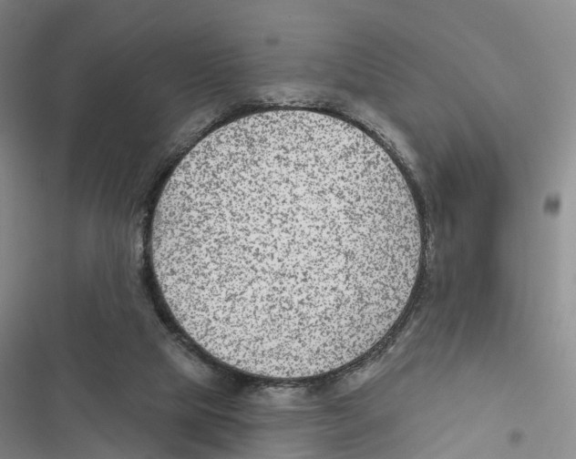 X0000116890065201001191814