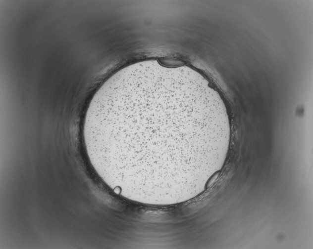 X0000116890066201001191814