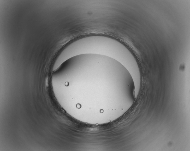 X0000116890068201001191814