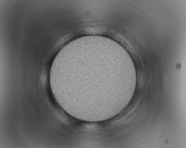 X0000116890071201001191814