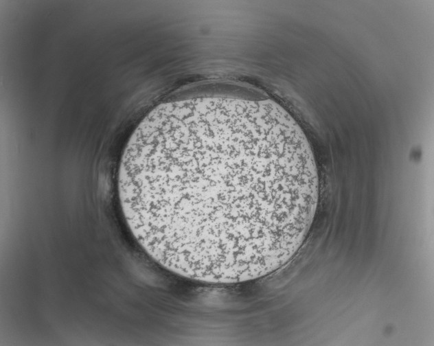 X0000116890074201001191814