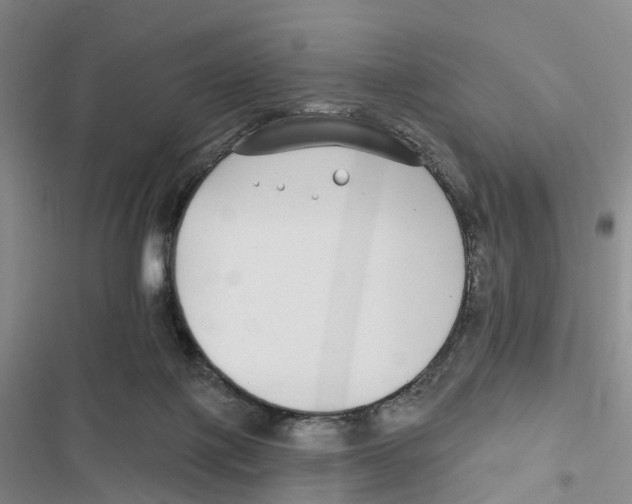 X0000116890075201001191814