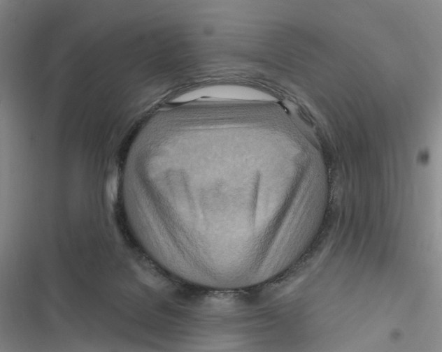 X0000116890076201001191814