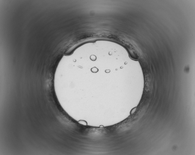 X0000116890077201001191814