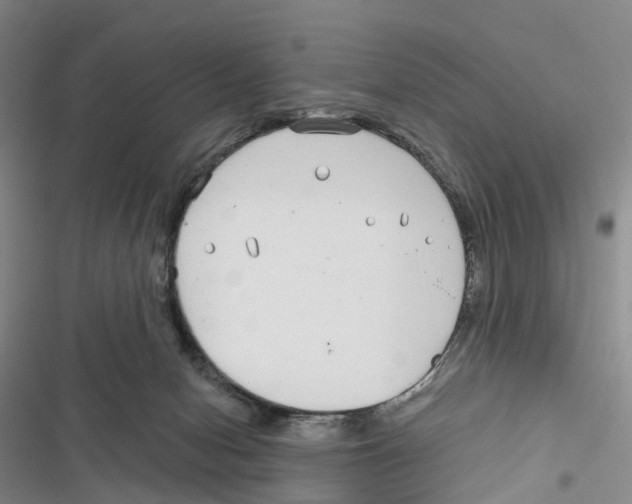 X0000116890078201001191814