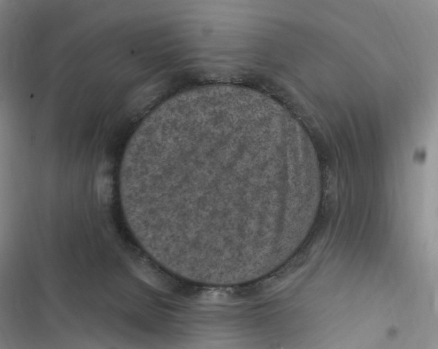 X0000116890080201001191814