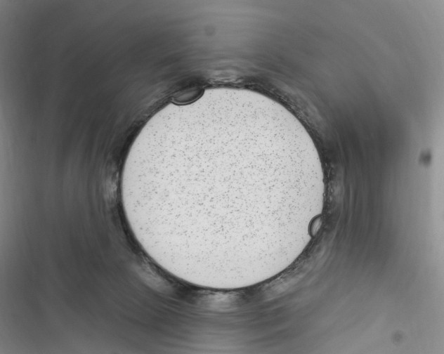 X0000116890081201001191814