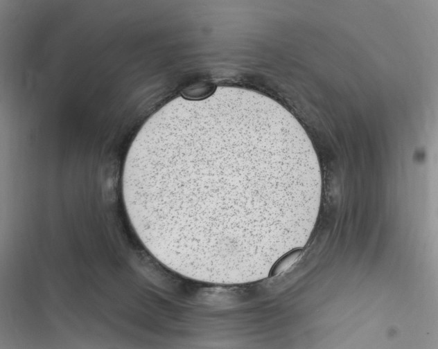 X0000116890082201001191814