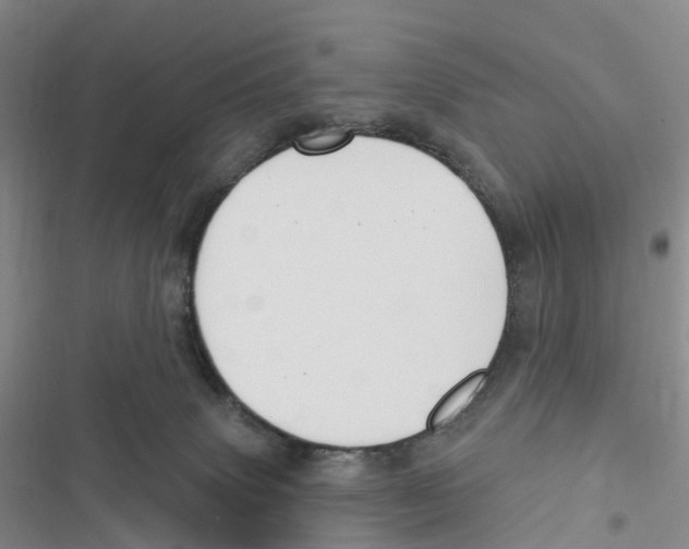 X0000116890083201001191814