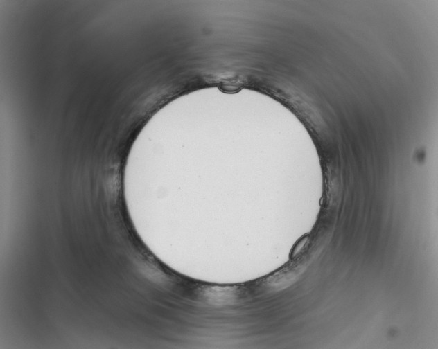 X0000116890085201001191814