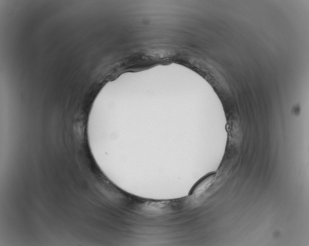 X0000116890086201001191814