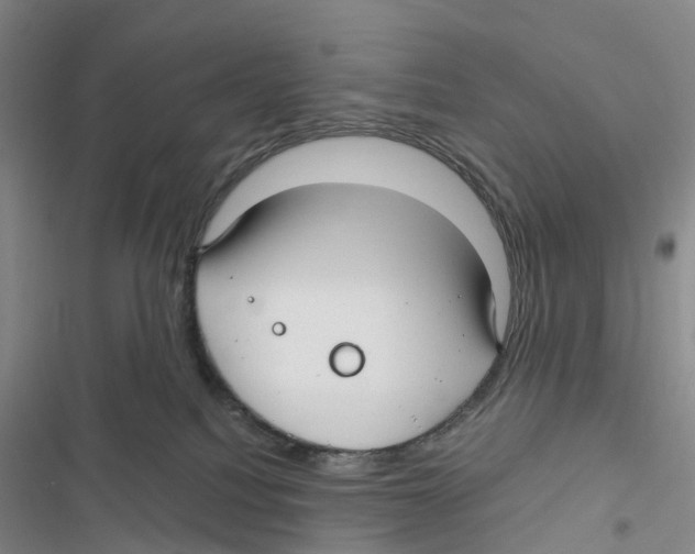 X0000116890088201001191814