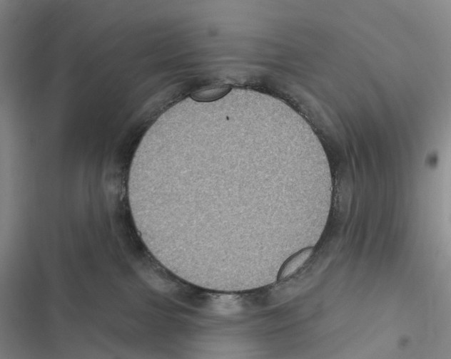 X0000116890091201001191814