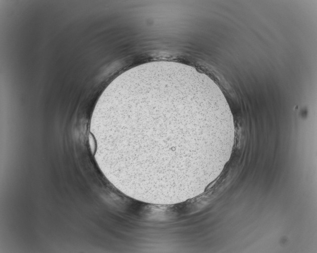 X0000116890093201001191814