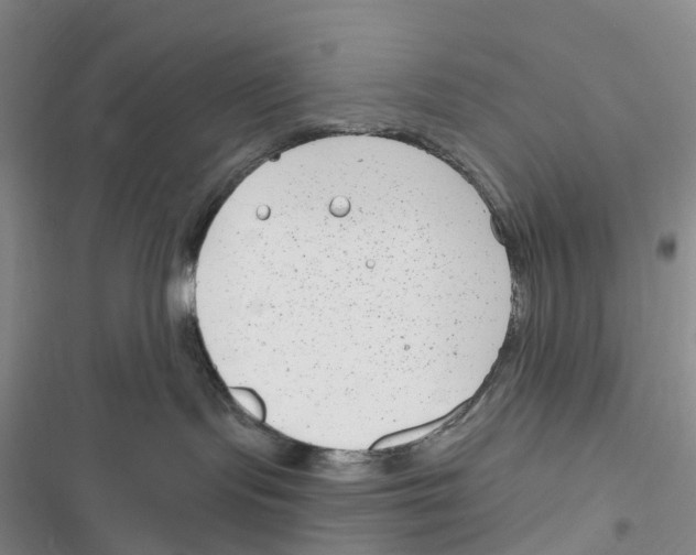 X0000116890095201001191814