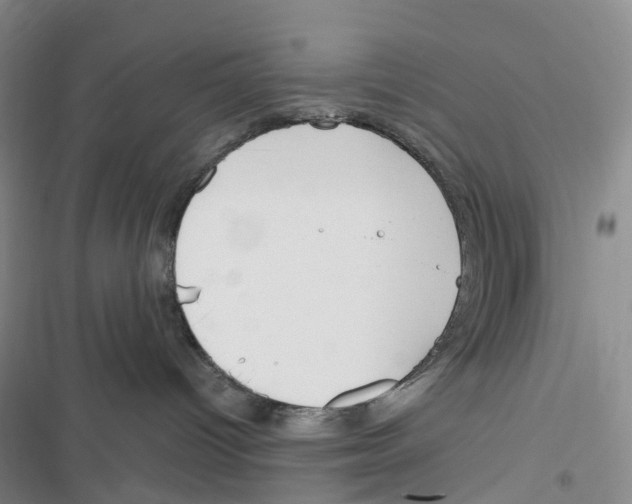 X0000116890096201001191814