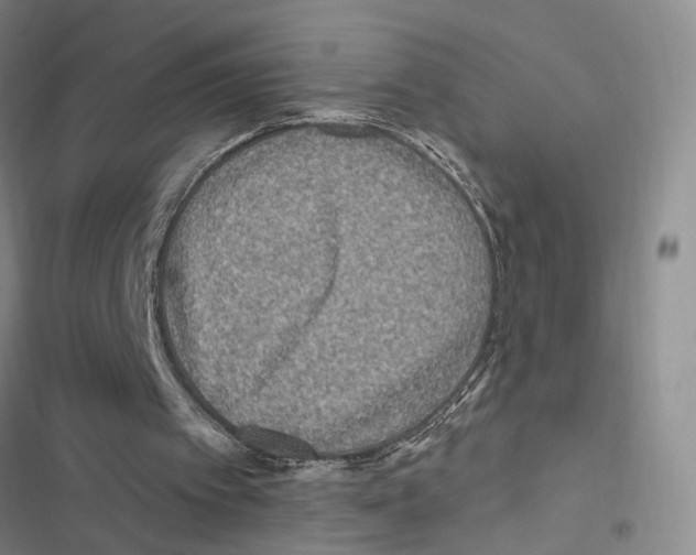 X0000116890097201001191814