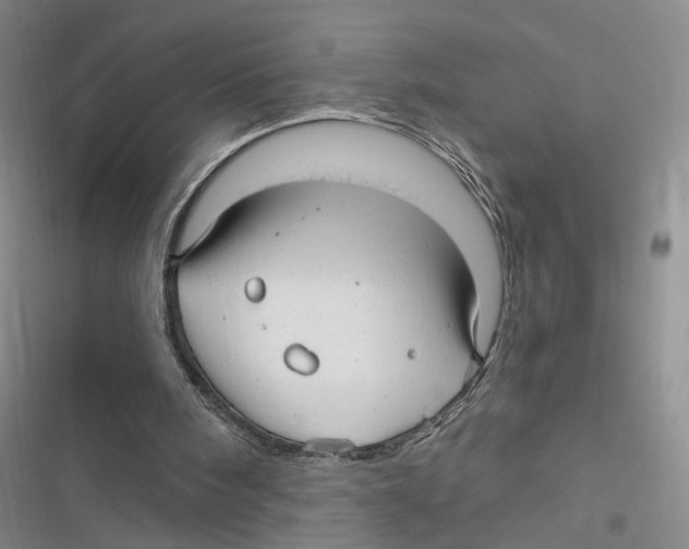 X0000116890098201001191814