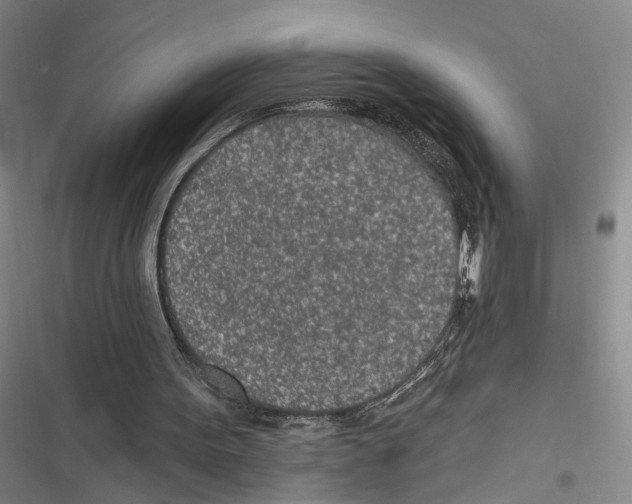 X0000116890099201001191814