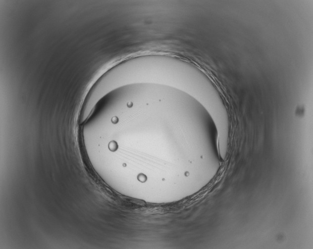 X0000116890100201001191814