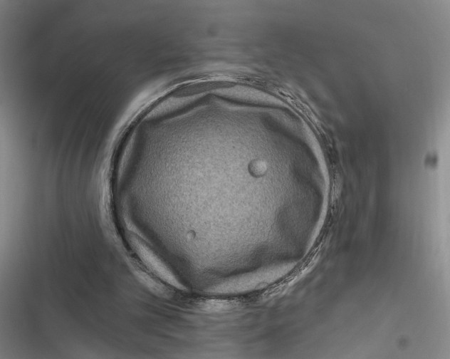 X0000116890101201001191814