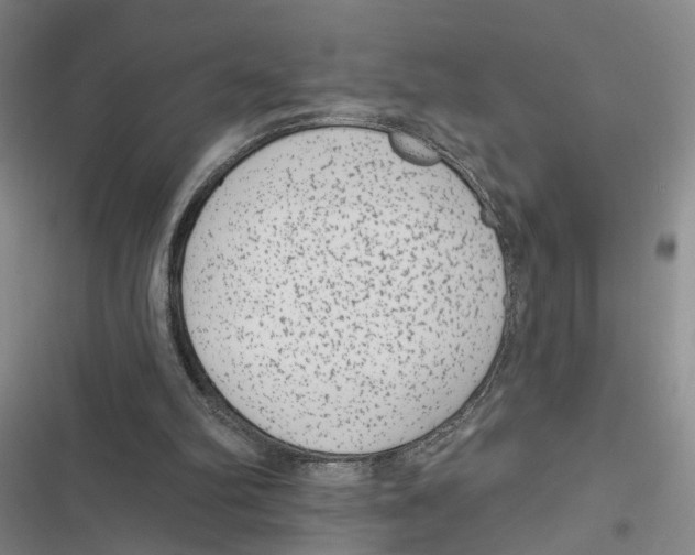 X0000116890102201001191814