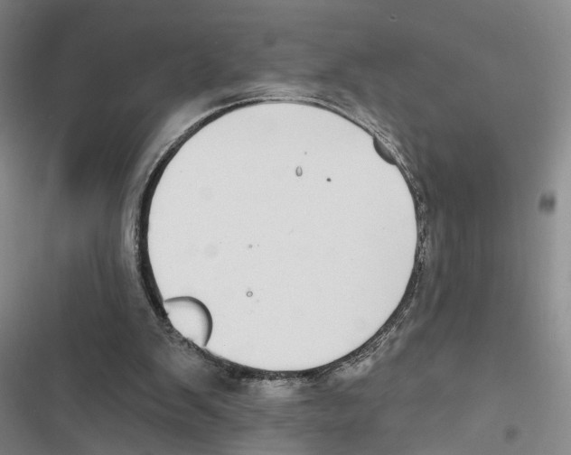 X0000116890103201001191814