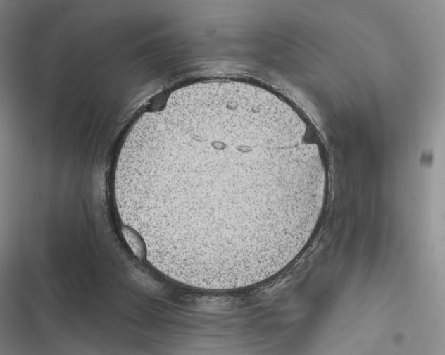 X0000116890105201001191814