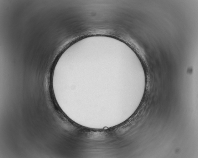 X0000116890107201001191814