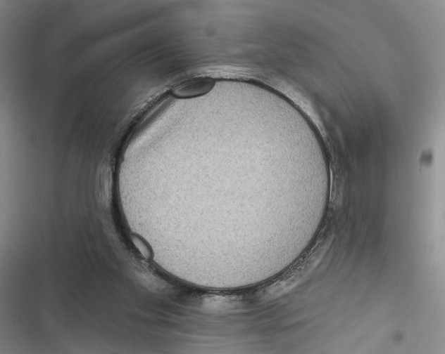 X0000116890109201001191814