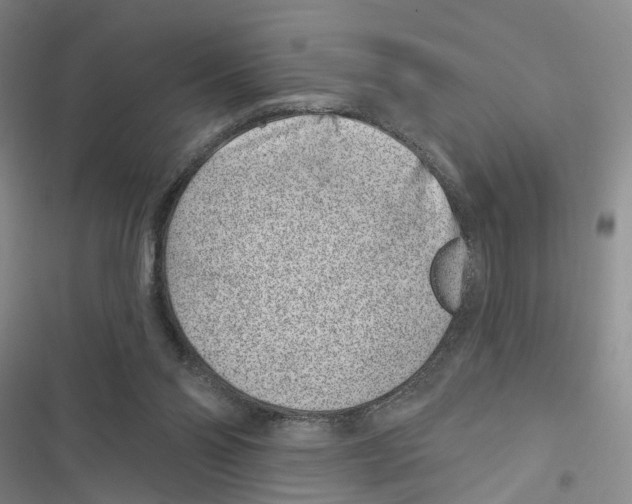 X0000116890110201001191814