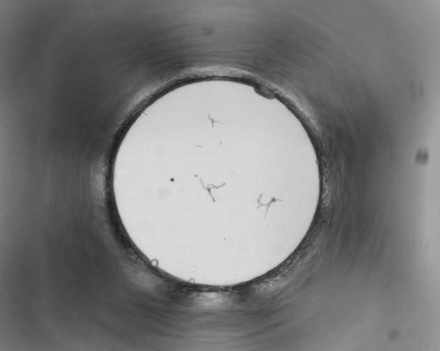 X0000116890111201001191813