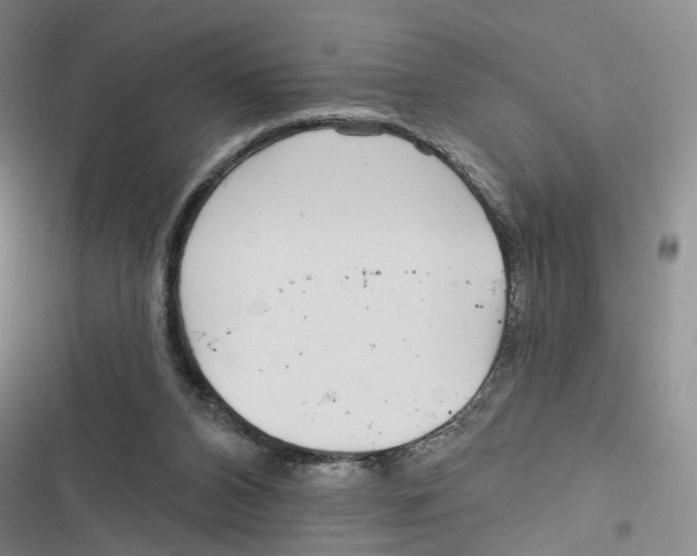 X0000116890112201001191813