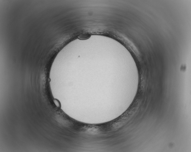 X0000116890113201001191813