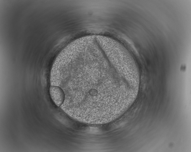 X0000116890114201001191813