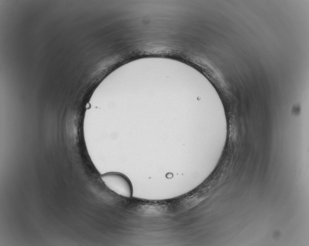 X0000116890115201001191813